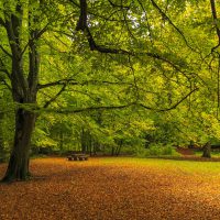 Naturpark Westliche Wälder - Stauden